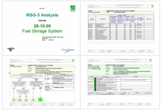 MSG-3 Sample Report